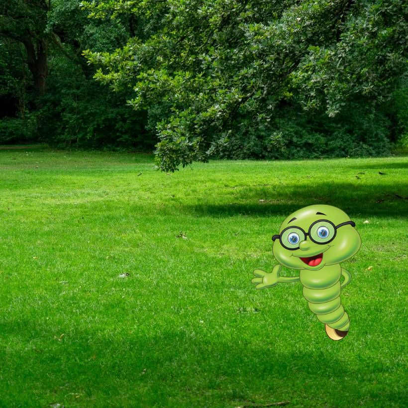 Nejlepší hnojivo na trávník