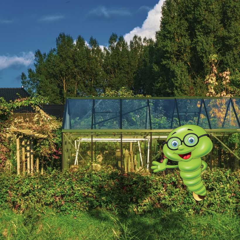 Co pěstovat ve skleníku?