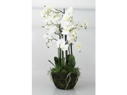 7006 60444 05 orchidea v hline biela 110cm