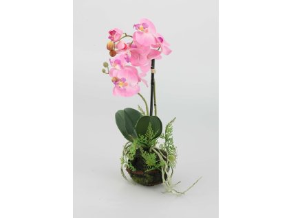 7009 60450 37 orchidea ruzova 45cm