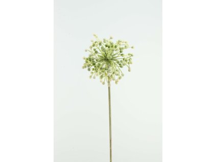 8977 52262 01 ball grass spray 75cm