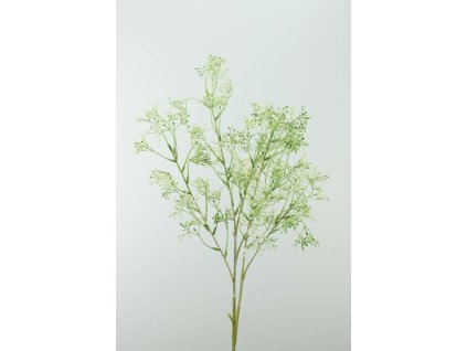 9595 gypsophilla zelena 95cm