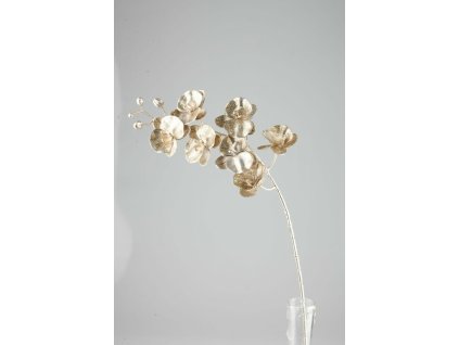 9748 orchidea zlata 75cm