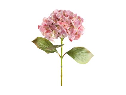 9808 hydrangea ruzova 65cm