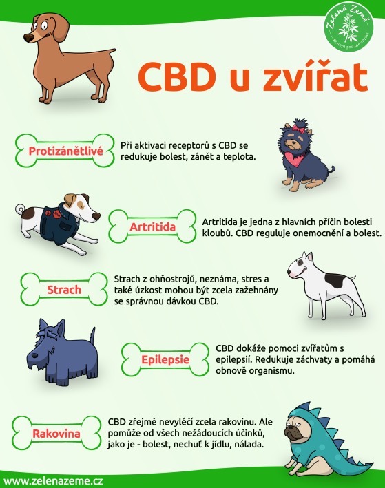 CBD u zvířat
