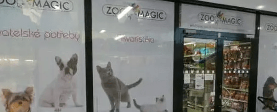 zoomagic-min