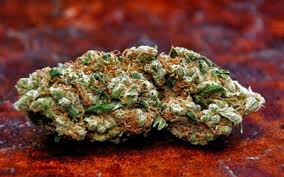 Sour_Tsunami