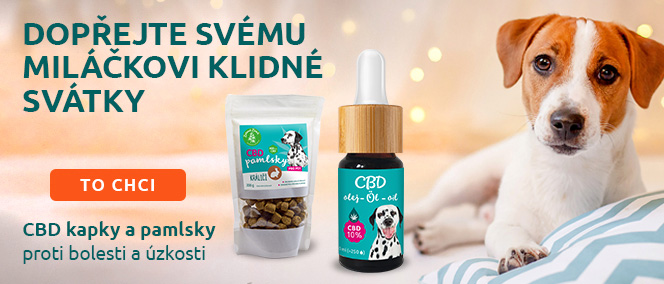 CBD Vánoce
