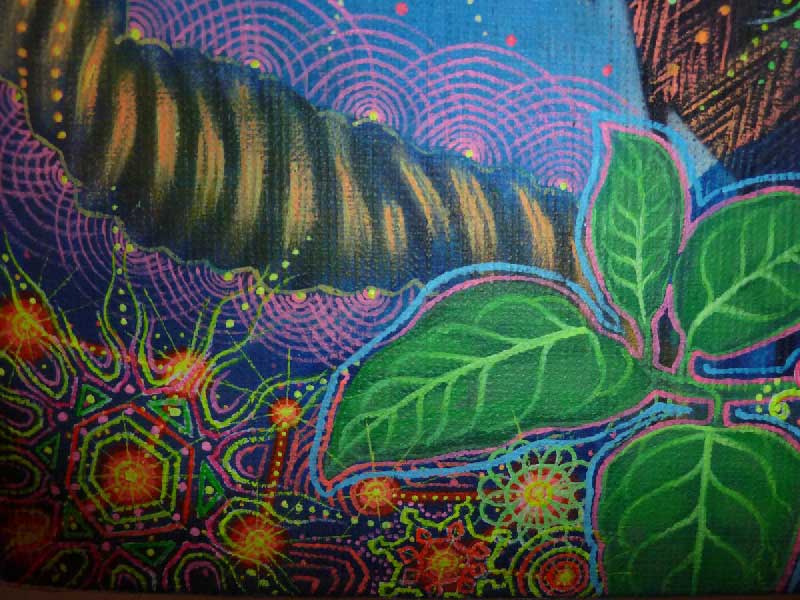 ayahuasca