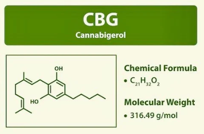 Vzorec CBG