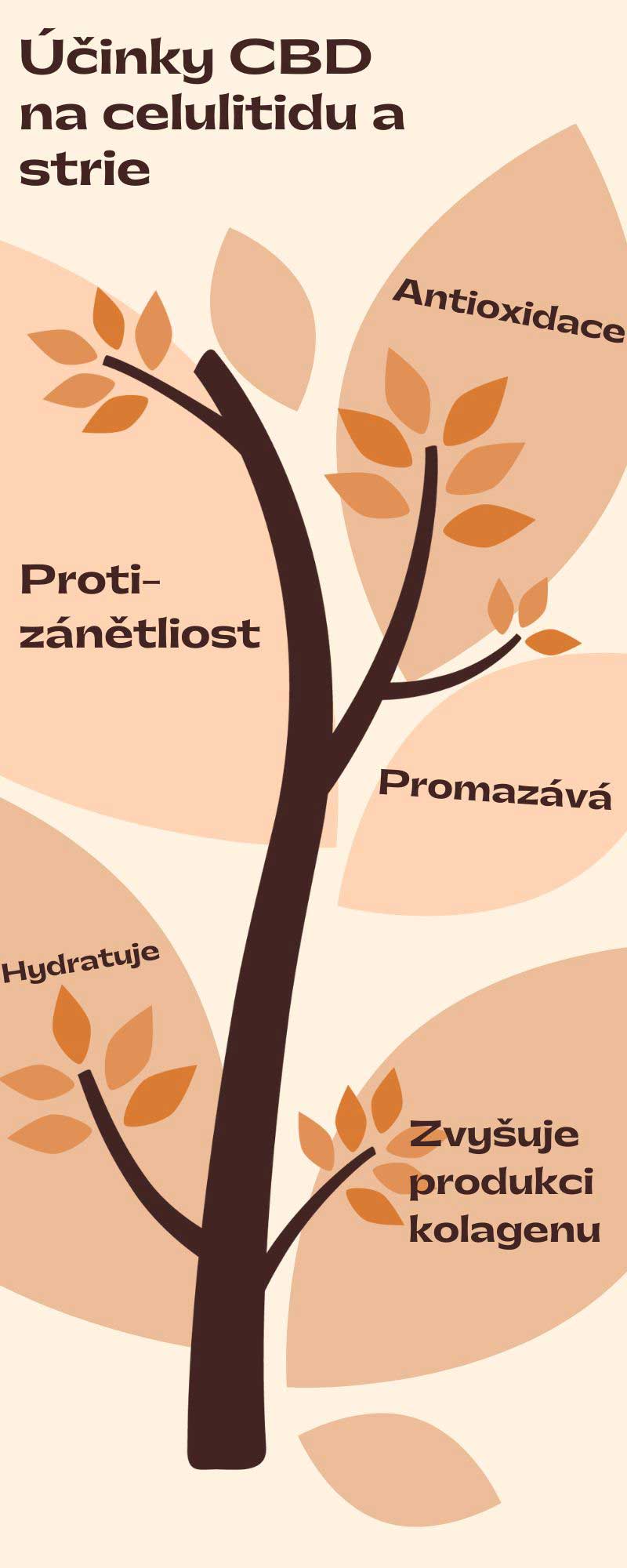 Účinky CBD na celulitidu a strie