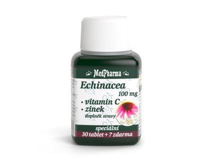 echinacea 100mg 37 70062