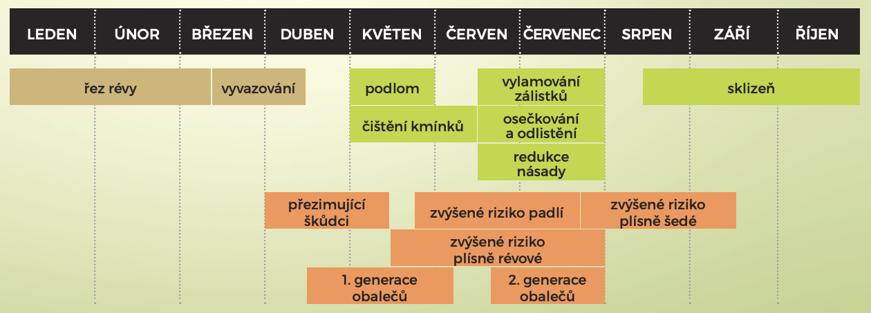 Nákazy Vinné Révy: Komplexní Průvodce Prevencí a Léčbou () Nákazy Vinné Révy: Komplexní Průvodce Prevencí a Léčbou
