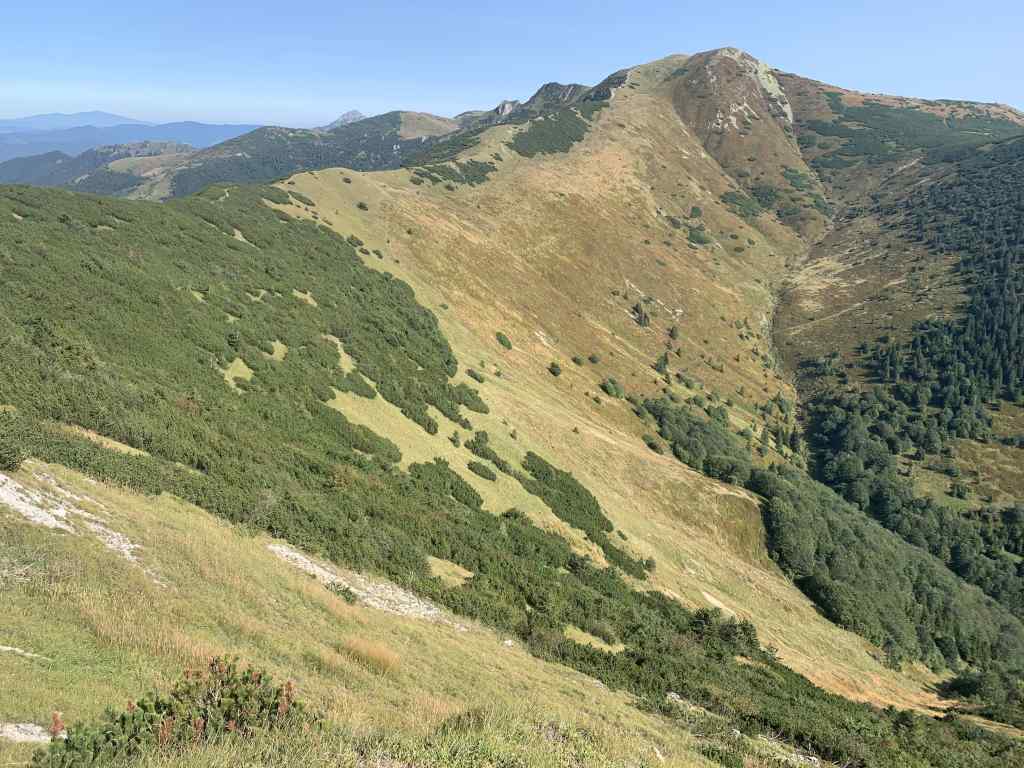 FOTO_4