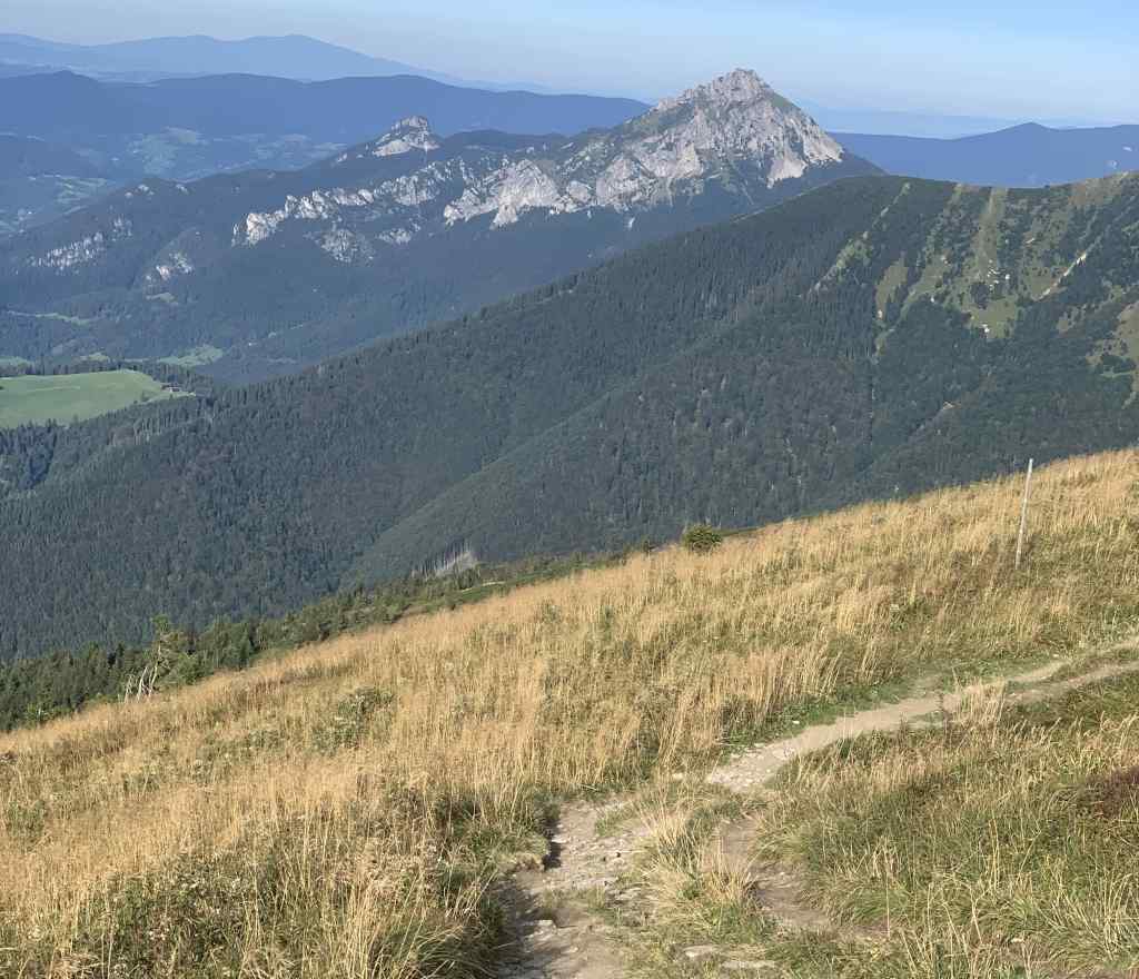 FOTO_5