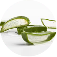 aloe