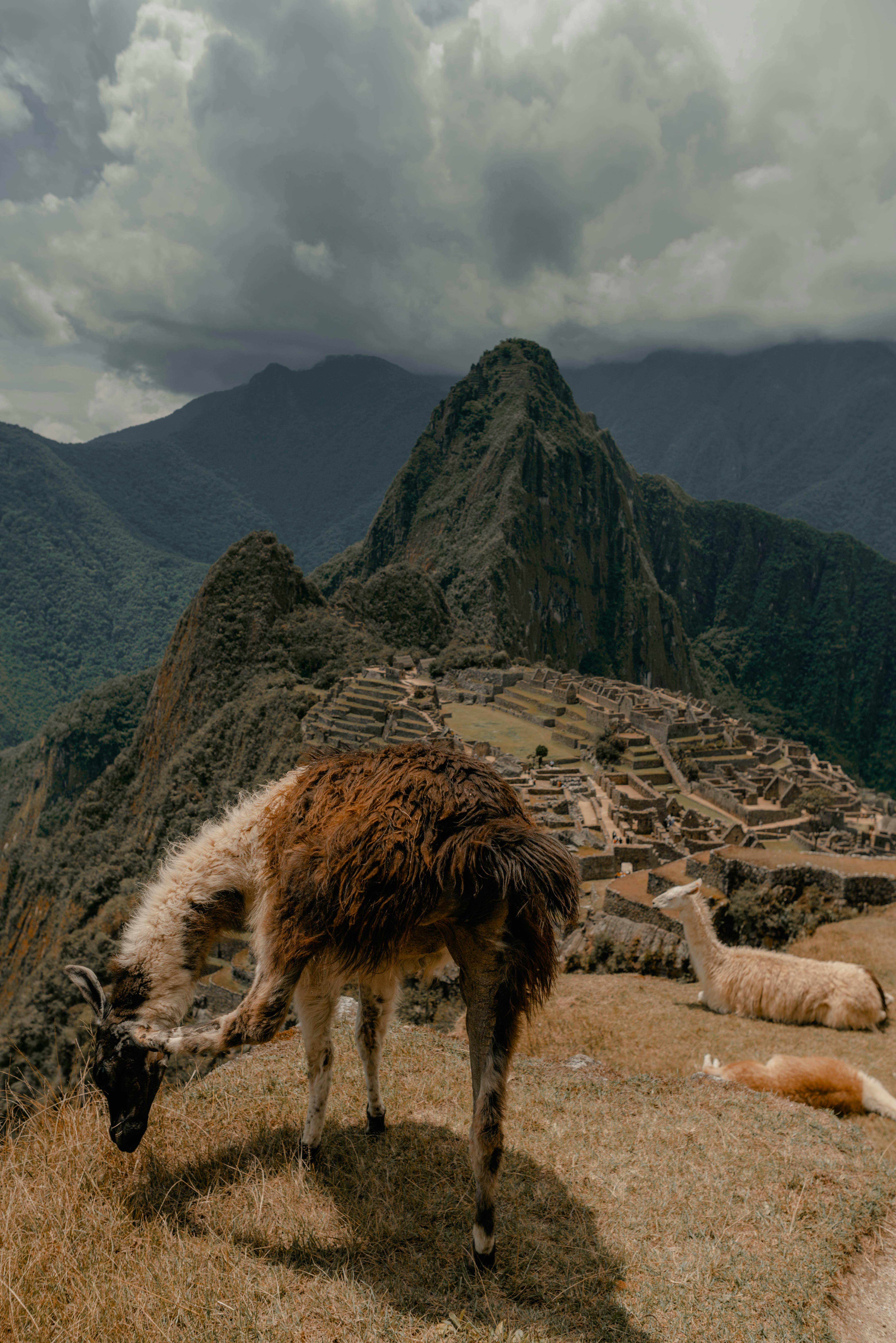 macu-piccu