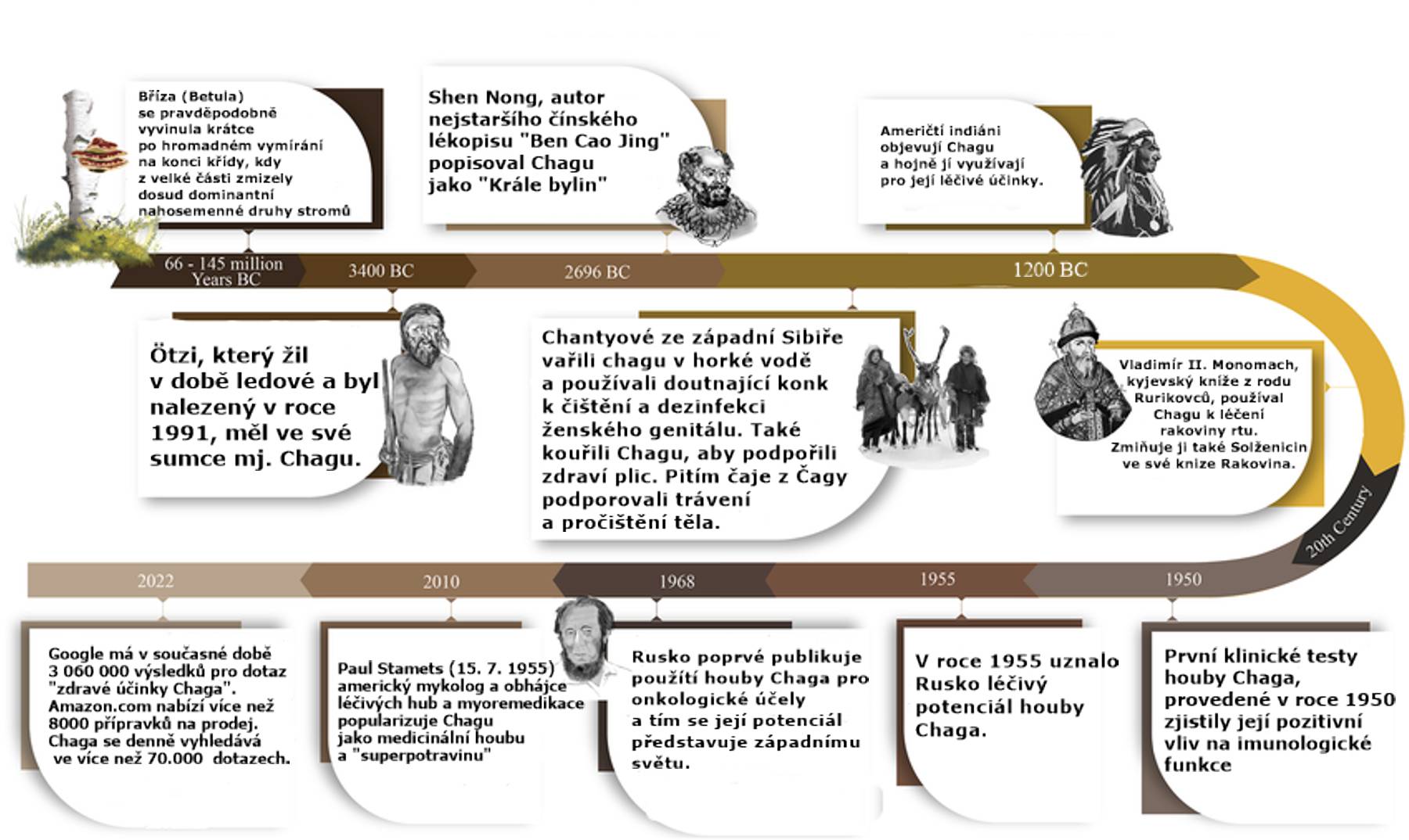 Chaga_timeline
