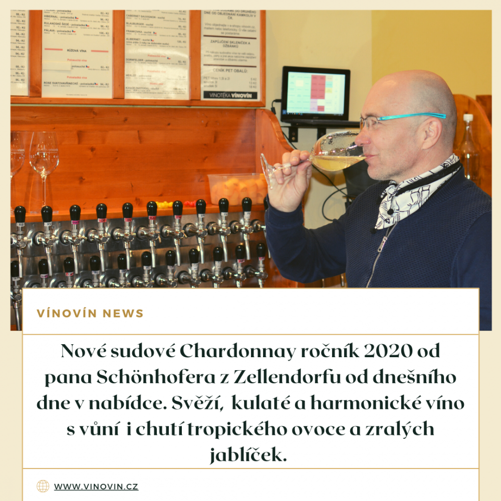 Chardonnay sudové víno