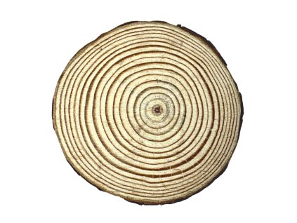3897 creatissimo prirodni drevene kolecko s kurou 10 cm