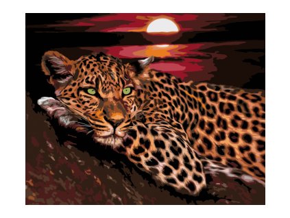 tn malovani podle cisel levhart 40x50cm 21175