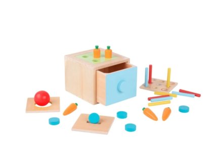 TK320 Tooky Toy - Montessori box vkládačka 4v1