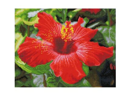 DIAMOND DOTZ - diamantové malování Ibišek