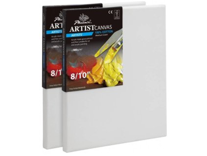 Phoenix - Napnuté malířské plátno 40 x 40 cm