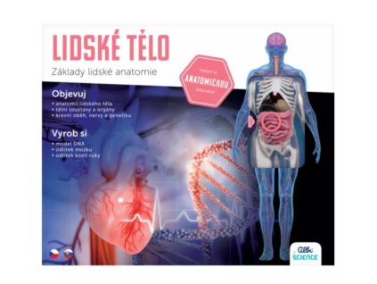 Snímek obrazovky 2024 12 12 130210