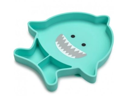 Snímek obrazovky 2025 03 05 133059