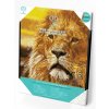 DIAMOND DOTZ - diamantové malování Lev s rámem