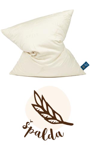 spalda1_blog