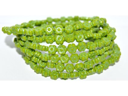 Hawaii flowers - 6mm