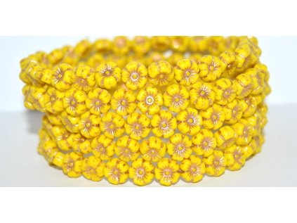 Hawaii flowers - 8mm