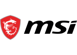 MSI