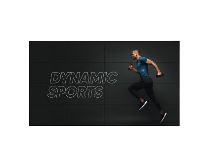 55" LG LED 55VL5PJ-A - FHD, 500cd, UN, 24/7