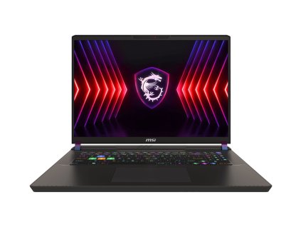 MSI Vector/17 HX A14VIG-1015CZ/i9-14900HX/17"/2560x1600/32GB/2TB SSD/RTX 4090/W11H/Gray/2R