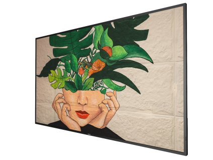 65" D-LED Philips 65BDL4511D-UHD, IPS, 500cd, MP, 24/7