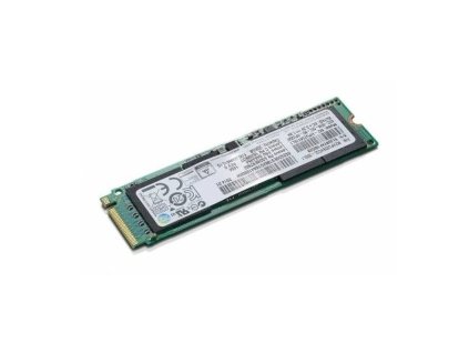Lenovo ThinkPad/512GB/SSD/M.2 SATA/1R