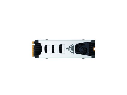 PATRIOT VIPER PV553/1TB/SSD/M.2 NVMe/Strieborná/Heatsink/5R