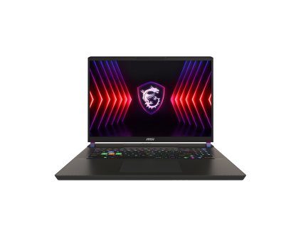 MSI Vector/17 HX A13VHG/i9-13980HX/17"/2560x1600/32GB/1TB SSD/RTX 4080/bez OS/Gray/2R