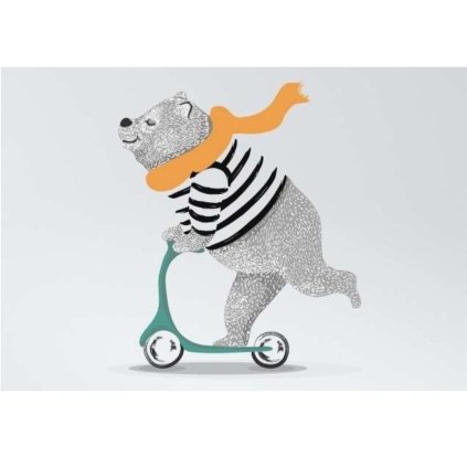 PINDU Plakát Medvěd na koloběžce