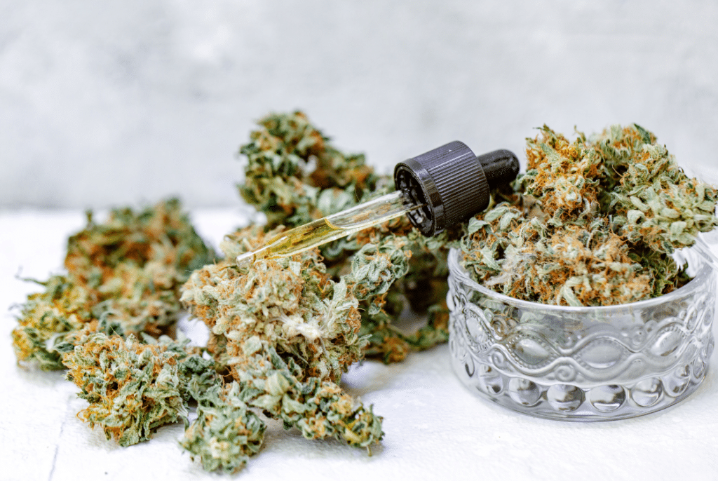 Navrh-bez-nazvu-45-1024x686