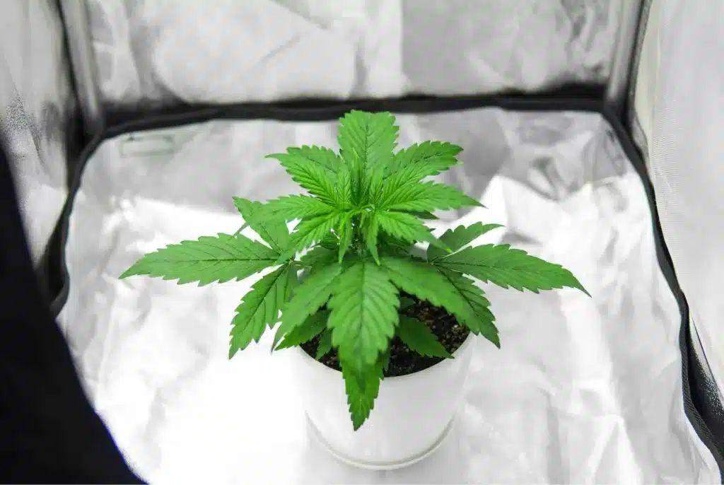 Bannery-blog-2240-×-1500-px-2023-04-23T133751.732-1024x686