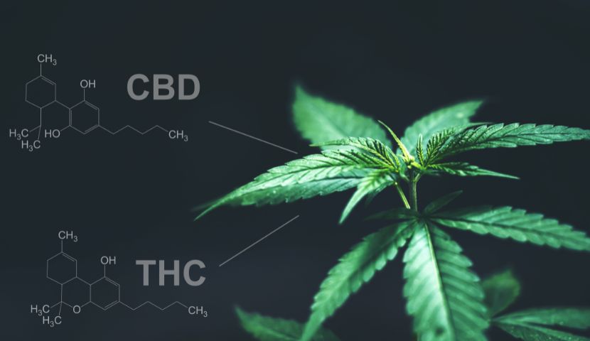 chemický vzorec cbd a thc