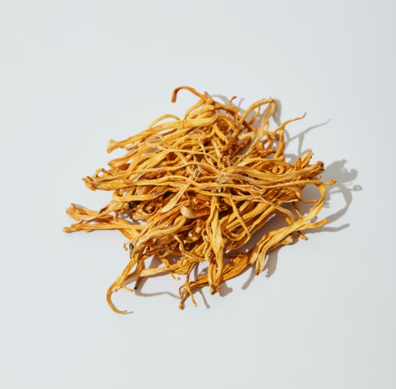 houba Cordyceps