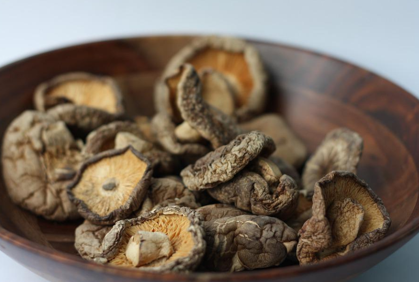 shiitake houba