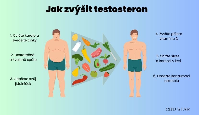 jak na zvýšení testosteronu