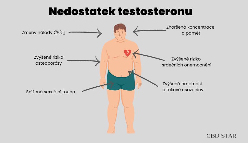 nedostatek testosteronu