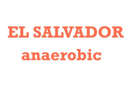 ETHIOPIA YIRGACHEFFE washed 9